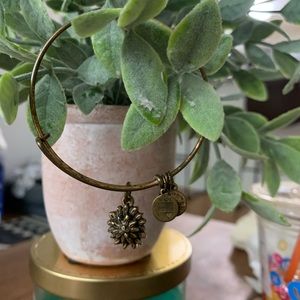 Alex and Ani Bracelet